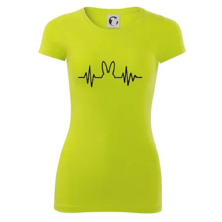 EKG zajíc