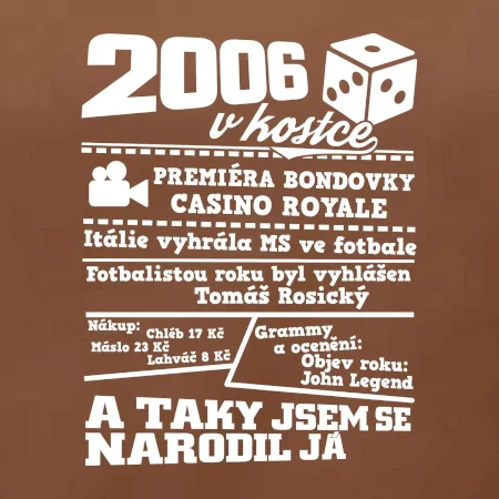 2006 v kostce