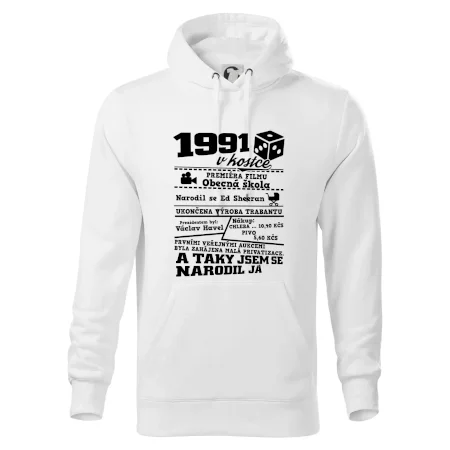 1991 v kostce