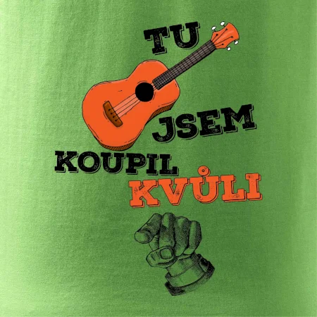 Tu kytaru jsem koupil kvůli tobě