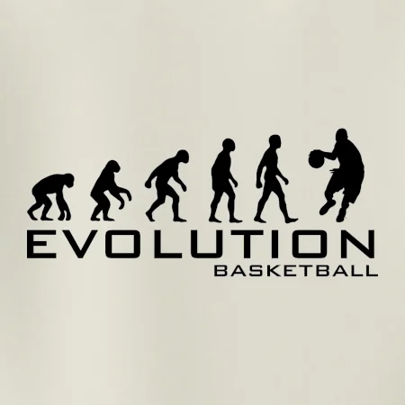 Evoluce Basketball