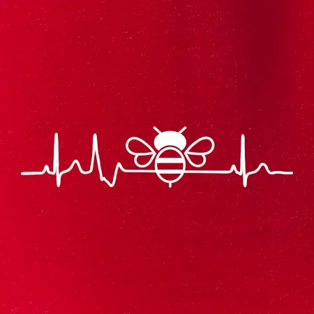 EKG včela
