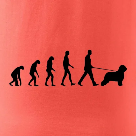 Evoluce pes Briard