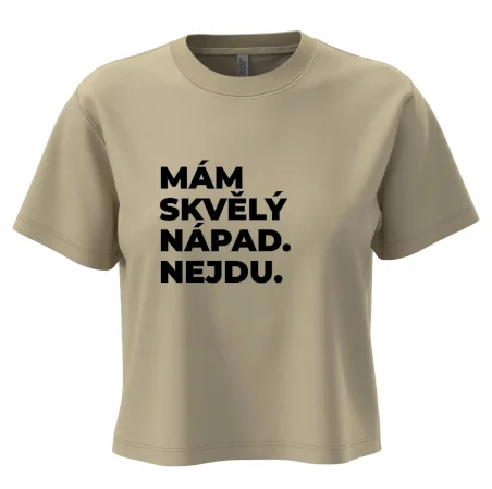 MÁM SKVĚLÝ NÁPAD. NEJDU.