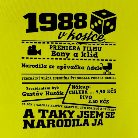 1988 v kostce