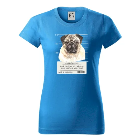 Lump a darebák mopsík