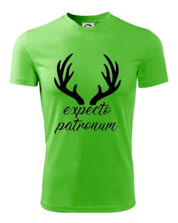Harry - Expecto patronum