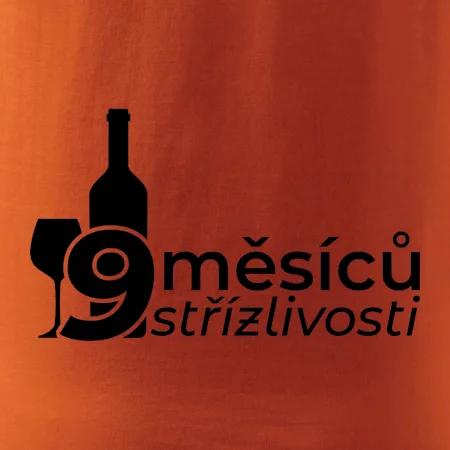 9 měsíců střízlivosti