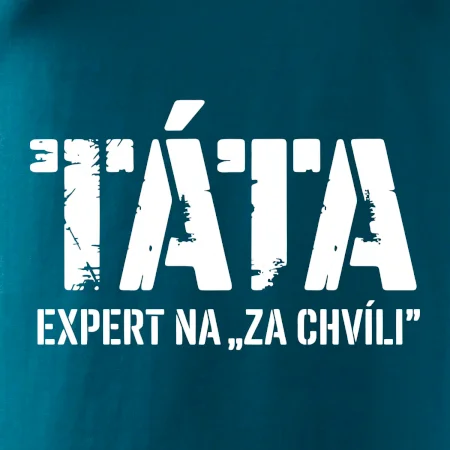 Táta - expert na za chvíli
