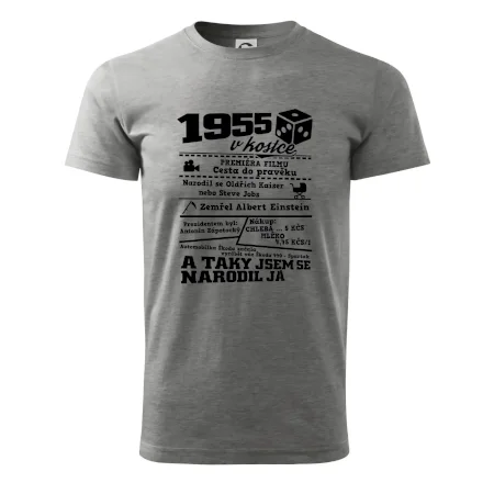 1955 v kostce