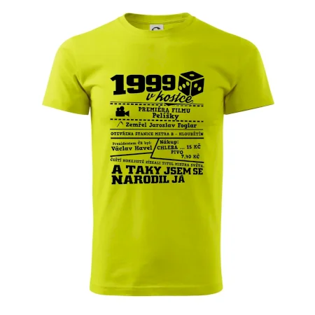 1999 v kostce