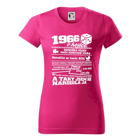 1966 v kostce