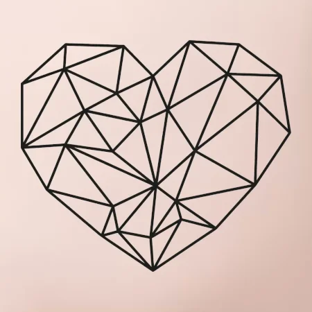 Srdce geometrie