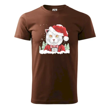 Santa kocour