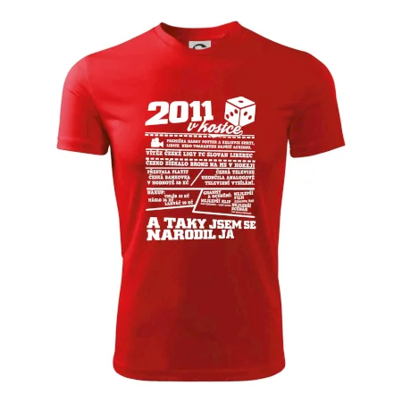 2011 v kostce