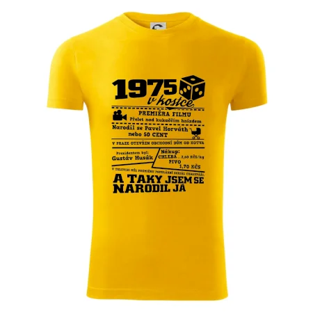 1975 v kostce
