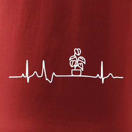 EKG Filodendron