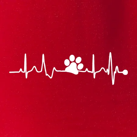 Ekg psí tlapka