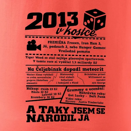 2013 v kostce