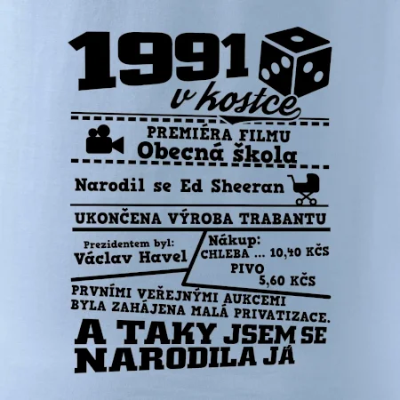 1991 v kostce