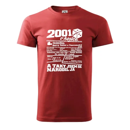 2001 v kostce