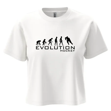 Evoluce Hockey - hráč