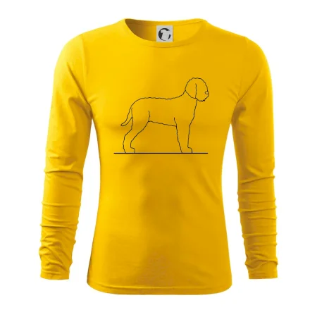 Lagotto romagnolo stojící