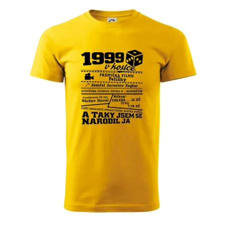 1999 v kostce