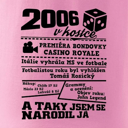 2006 v kostce