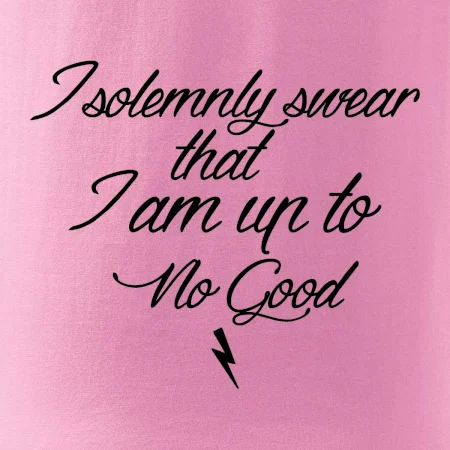 I solemnly swear that I'm up to no good