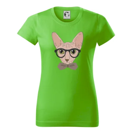 Hipster sphynx