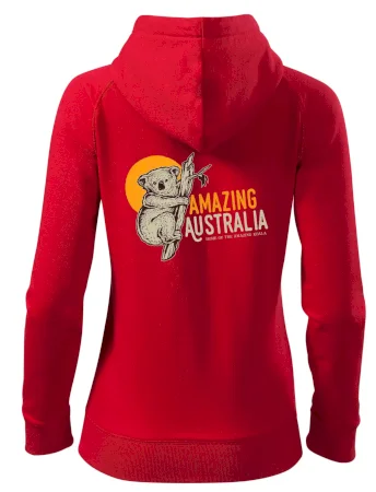 Amazing Australia koala