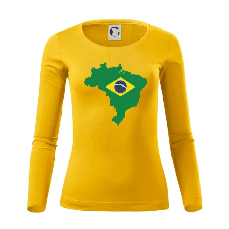 Brazílie vlajka v mapě