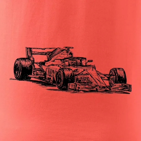 Formule v závodě