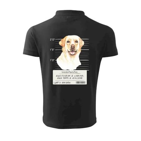 Lump a darebák labrador