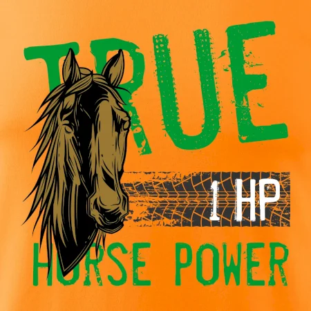 True Horse Power 1 HP