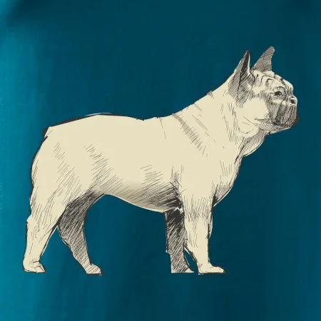 Vintage French bulldog