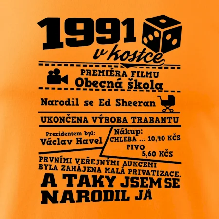 1991 v kostce