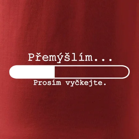 Přemýšlím