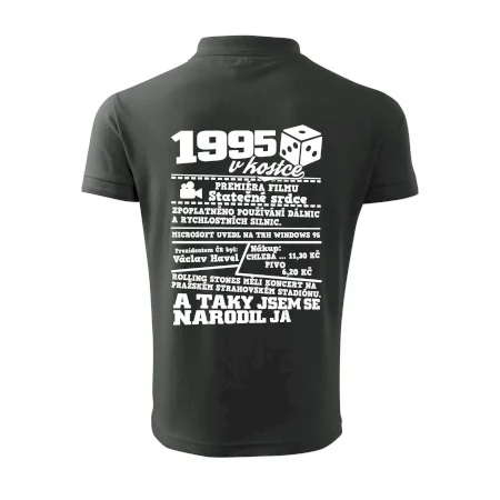 1995 v kostce
