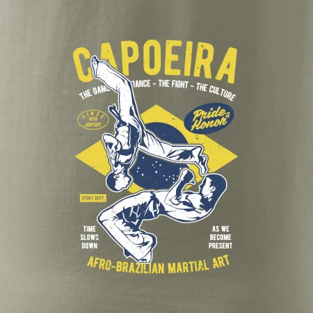 Capoeira  Afro-brazil art