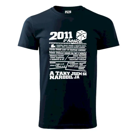 2011 v kostce