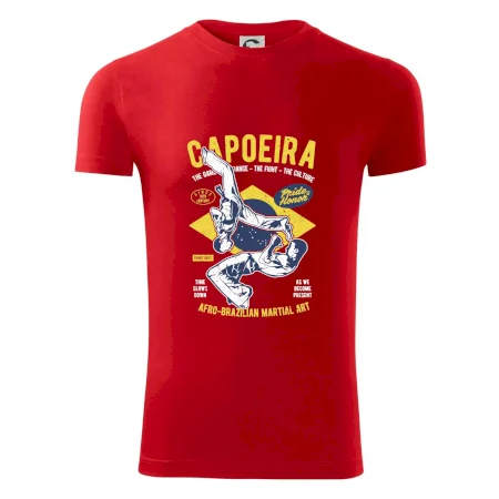 Capoeira  Afro-brazil art