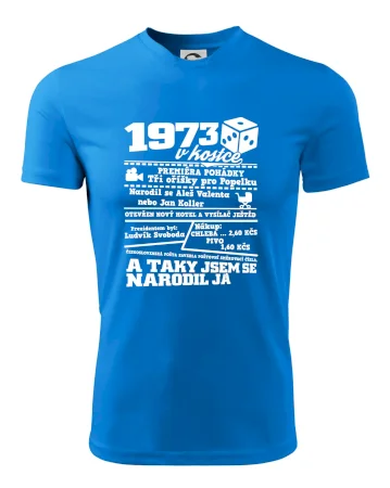 1973 v kostce