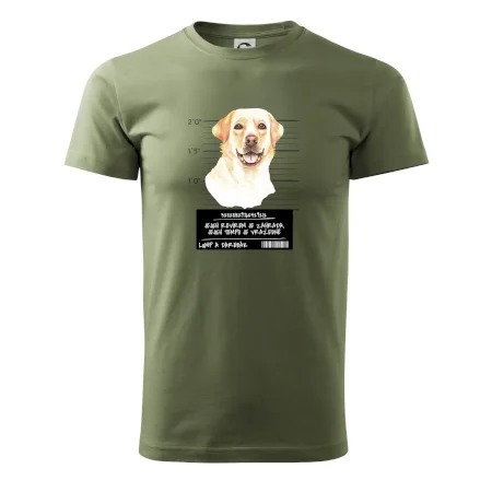 Lump a darebák labrador
