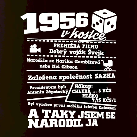 1956 v kostce