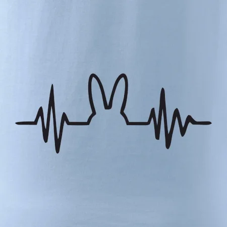EKG zajíc