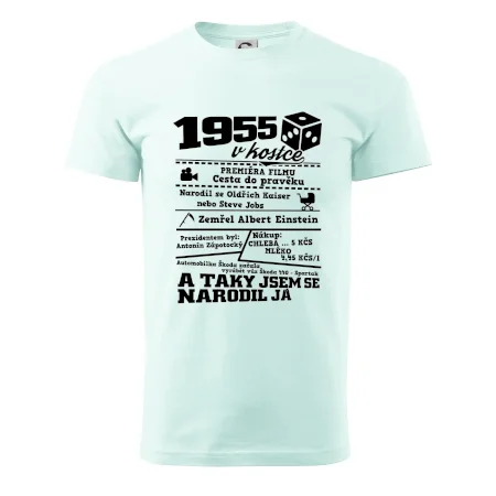 1955 v kostce