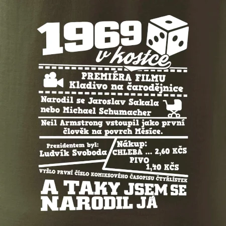 1969 v kostce