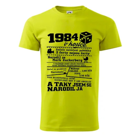 1984 v kostce